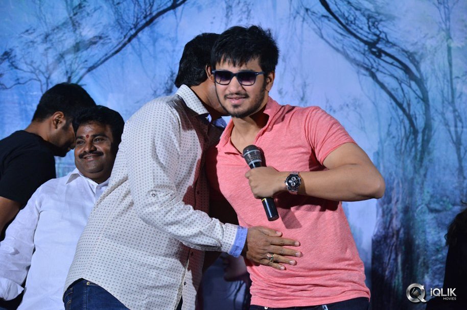 Ekkadiki-Pothavu-Chinnavada-Movie-Thanks-Meet